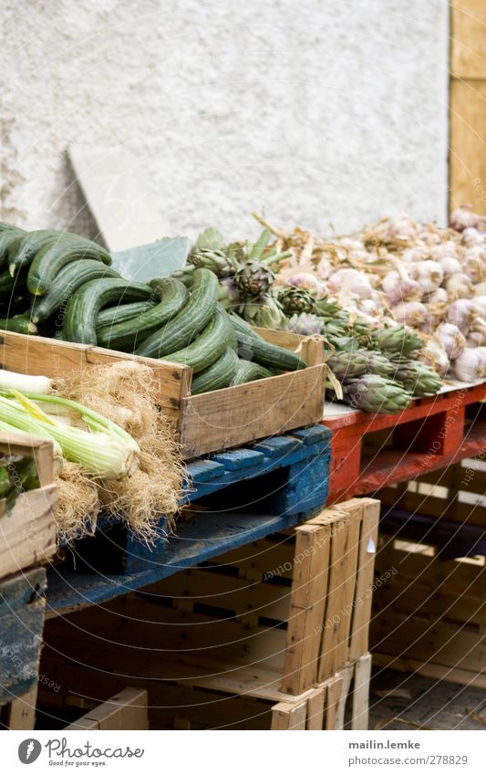 französischer Markt Gemüse frisch Gesundheit lecker Originalität blau grün rot Gurke Artischocke Knoblauch Paletten Farbfoto Außenaufnahme Textfreiraum oben Tag