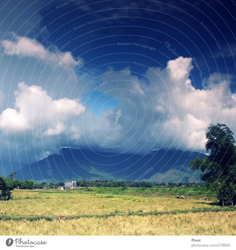 Wolkendecke Landschaft Himmel Sommer Schönes Wetter Nervosität Vietnam Berge u. Gebirge Feld Farbfoto Außenaufnahme Textfreiraum oben Tag Starke Tiefenschärfe