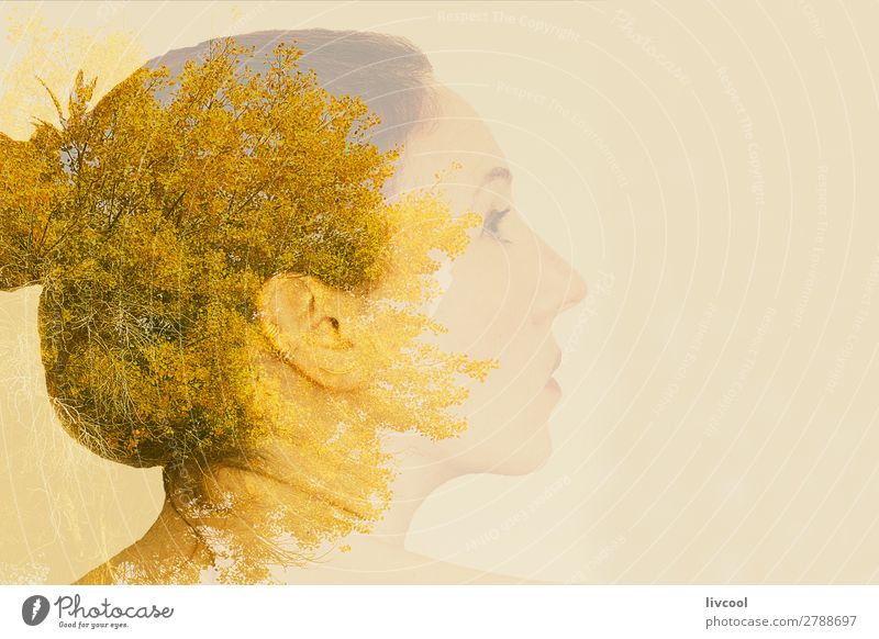 Frau auf dem Baum Gesicht Erholung Mensch feminin Erwachsene Weiblicher Senior Kopf 1 45-60 Jahre Kunst Künstler Natur Pflanze Urelemente Sand Himmel Blatt Park