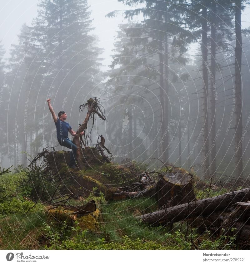 Gegenlichtnebel sportlich Fitness Sport Reitsport Zeitmaschine Mensch Mann Erwachsene Skulptur Natur schlechtes Wetter Nebel Regen Wald Holz Jagd dunkel