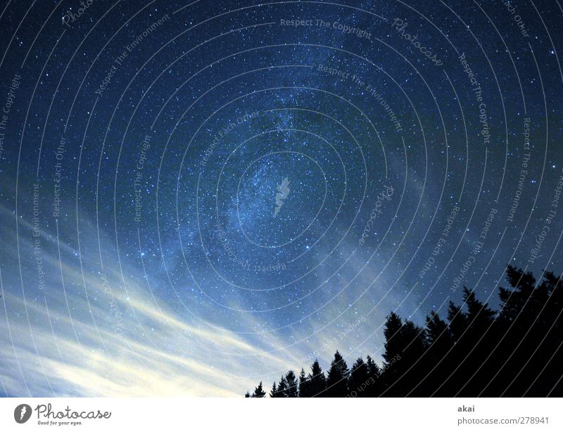 Sternwolken Wissenschaften Raumfahrt Natur Landschaft Pflanze Himmel Wolken Nachthimmel Horizont Sommer Wald blau schwarz weiß kalt Galaxie Cirrus Fichtenwald