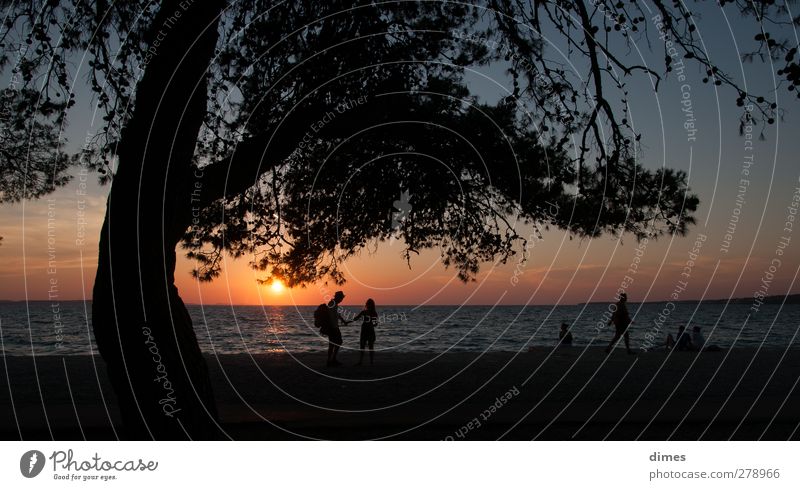 Sonnenuntergang am Mittelmeer bei Zadar (Kroatien) Mensch Landschaft Wasser Himmel Horizont Sonnenaufgang Sommer Wärme Baum Küste Meer Erholung Zufriedenheit