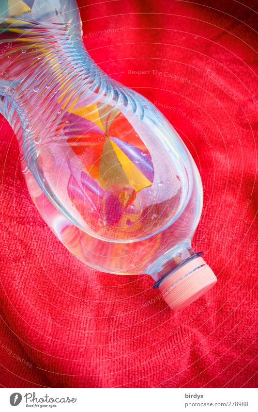PET-Flascheninhaltsstoffe Getränk Trinkwasser Petflasche Kunststoff glänzend leuchten ästhetisch außergewöhnlich rot Farbe Gesundheit nachhaltig Anschnitt