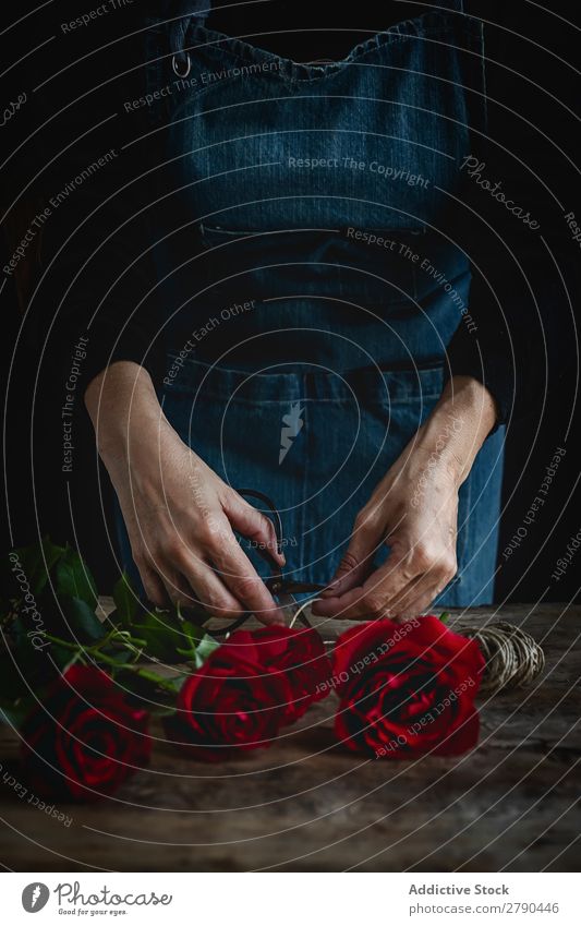 Nicht erkennbare Frau, die einen Blumenstrauß aus roten Rosen macht. Hand unkenntlich Hintergrundbild dunkel Postkarte Blütenblatt Valentinsgruß Jahrestag