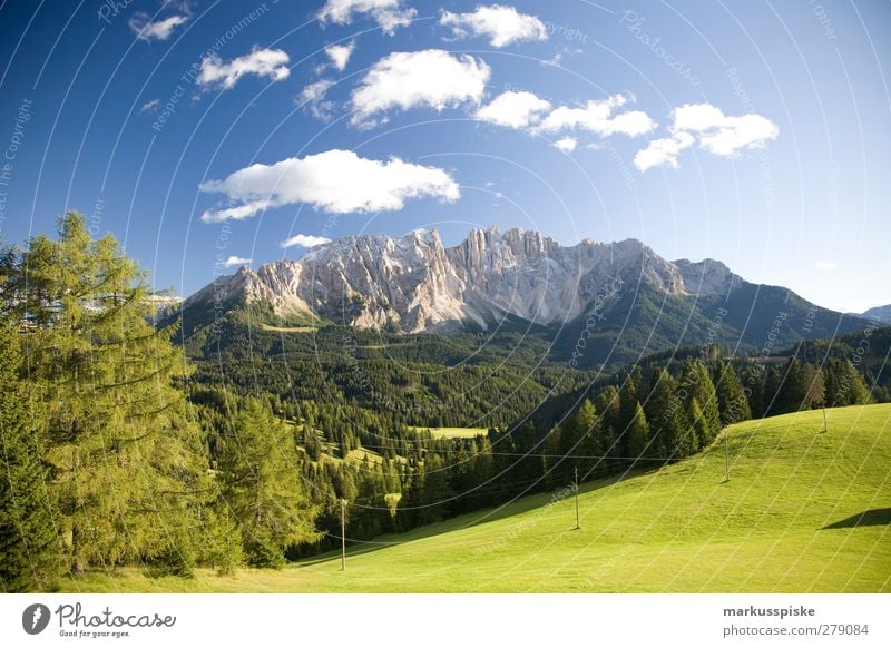 Latemar Südtirol Ferien & Urlaub & Reisen Tourismus Ausflug Abenteuer Ferne Freiheit Expedition Sommer Sommerurlaub Sonne Berge u. Gebirge wandern Fitness