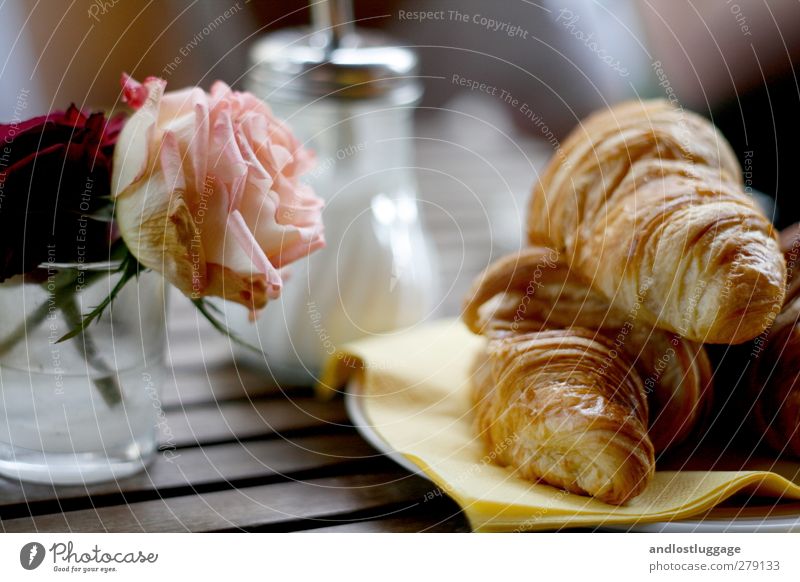 der morgen nach dem chamancinco. Lebensmittel Teigwaren Backwaren Zucker Croissant Ernährung Frühstück Lifestyle Zufriedenheit Städtereise Tisch Blume Rose