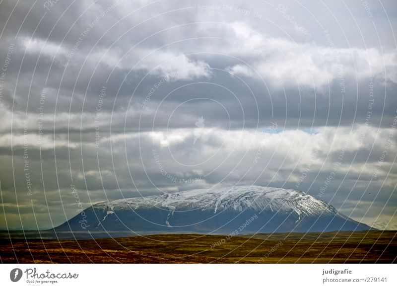 Island Umwelt Natur Landschaft Himmel Wolken Klima Berge u. Gebirge Schneebedeckte Gipfel außergewöhnlich bedrohlich dunkel kalt natürlich Stimmung