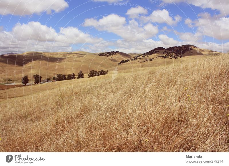 Wolken Ferne Freiheit Natur Landschaft Erde Luft Himmel Gras Hügel träumen Unendlichkeit endlos vorrüberziehen Kalifornien Livermore country Farbfoto