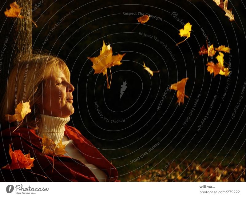 Herbstschmeichelei Freude Wohlgefühl genießen Meditation Frau Erwachsene Gesicht Mensch Natur Rollkragenpullover blond Erholung Blätter fallen Lächeln sitzen