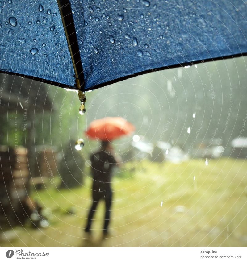 Sommerregen Ausflug Junger Mann Jugendliche Urelemente Wasser Wassertropfen Sonne Wiese Wege & Pfade Gummistiefel laufen blau rot Regenschirm Tropfen Gewitter