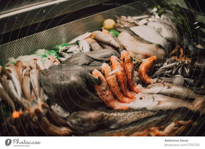 Verschiedene frische Fische am Marktstand Kulisse Verkaufswagen Chechaouen Marokko Sammlung Fenster Lebensmittel Mahlzeit Meeresfrüchte Feinschmecker Gesundheit