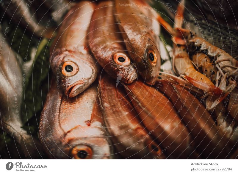 Verschiedene frische Fische am Marktstand Kulisse Verkaufswagen Chechaouen Marokko Sammlung Fenster Lebensmittel Mahlzeit Meeresfrüchte Feinschmecker Gesundheit