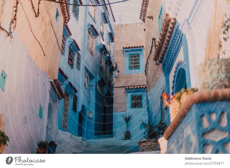 Schmale Straße mit alten Gebäuden Chechaouen Marokko Konstruktion Fassade schmal blau Ferien & Urlaub & Reisen Sonnenstrahlen Tag Tourismus schön romantisch