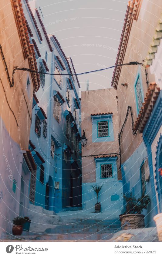 Schmale Straße mit alten Gebäuden Chechaouen Marokko Konstruktion Fassade schmal blau Ferien & Urlaub & Reisen Sonnenstrahlen Tag Tourismus schön romantisch