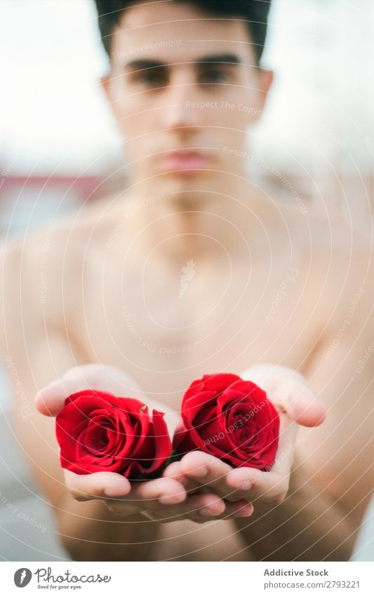 Junger Mann mit roten Blumen frisch Jugendliche Rose brünett Typ ohne Hemd Überraschung Geschenk zeigen romantisch aromatisch Feste & Feiern Pflanze natürlich