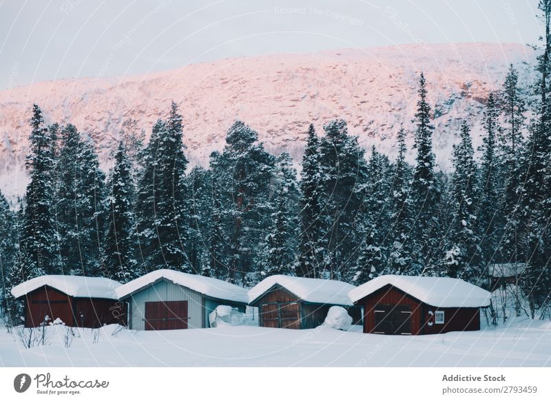 Kleine Schuppen in der Winterlandschaft Baracke Landschaft Baum Berge u. Gebirge Arktis Schnee Scheunen Natur kalt Wetter Coolness Jahreszeiten Wald Gebäude