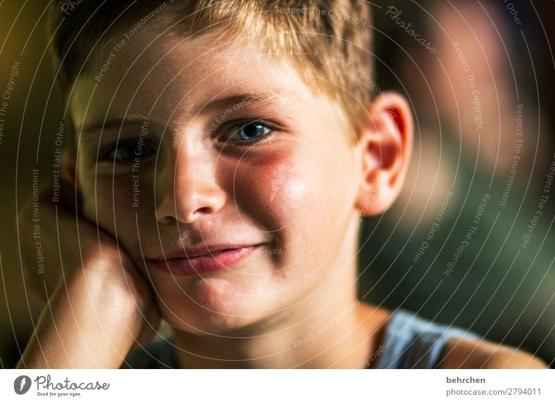 . träumen Familie & Verwandtschaft frech Farbfoto Nahaufnahme Porträt Kontrast Licht Tag Gesicht Kindheit Junge Sonnenlicht Auge Kopf Zufriedenheit glücklich