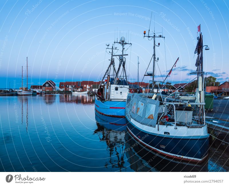 Blick auf den Hafen von Klintholm Havn in Dänemark Erholung Ferien & Urlaub & Reisen Tourismus Haus Natur Landschaft Wasser Wolken Küste Ostsee Gebäude