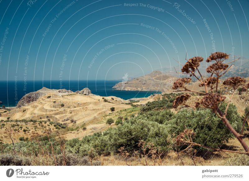 Sehnsucht nach Meer Natur Landschaft Pflanze Urelemente Erde Wasser Wolkenloser Himmel Horizont Sommer Schönes Wetter Sträucher Hügel Küste Bucht Kreta trist
