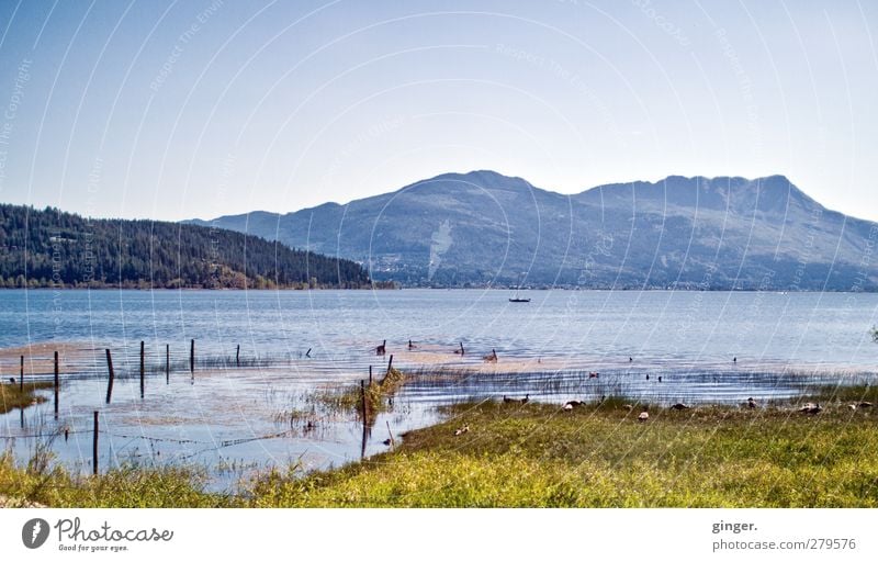 Canada B.C. Shuswap Lake Umwelt Natur Landschaft Erde Wasser Himmel Wolkenloser Himmel Sommer Schönes Wetter Hügel Felsen Berge u. Gebirge Gipfel Wellen Küste