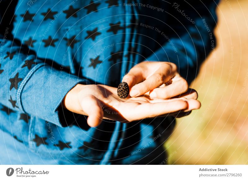 Person mit kleinem Haken Hängerolle Pflanze Natur Pullover blau Hand Handfläche Freizeit & Hobby Jugendliche Mensch grün gemütlich Wärme anhaben Holz Wald Baum