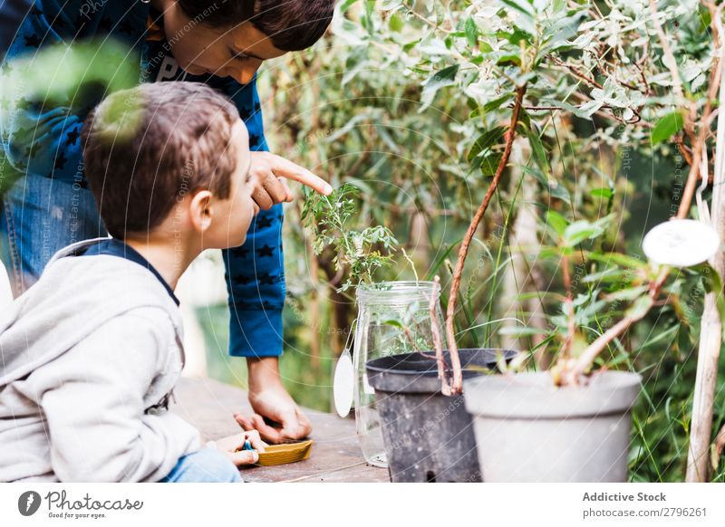 Person, die auf das Werk in der Dose in der Nähe des Kindes zeigt. Pflanze erklären zeigen Junge Finger grün Glas Park Mensch Garten Natur Schule Jugendliche