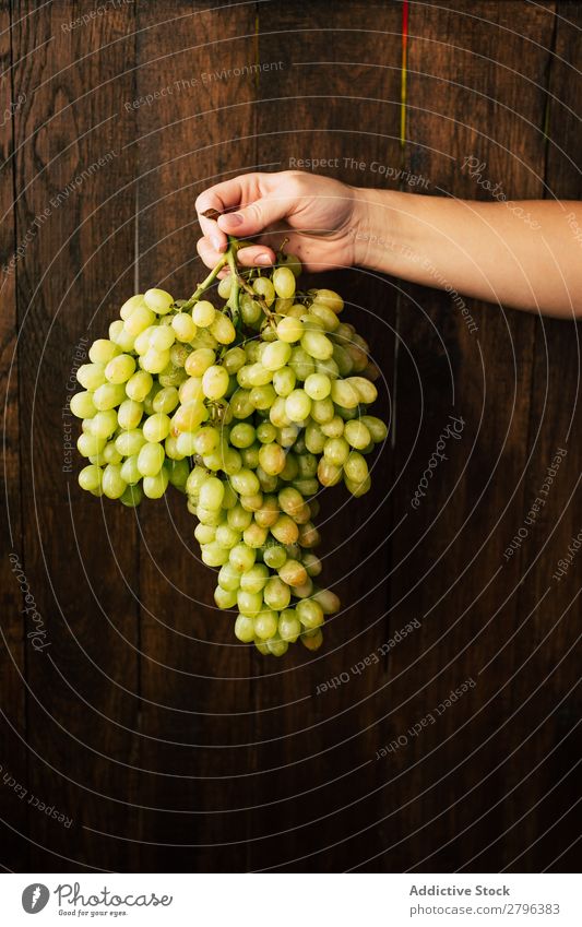 Handgepflückt mit Weintrauben Haufen Wand Holz Frau Frucht Ernte Pflanze organisch Jahreszeiten Herbst natürlich Oberfläche Nutzholz Gesundheit süß saftig
