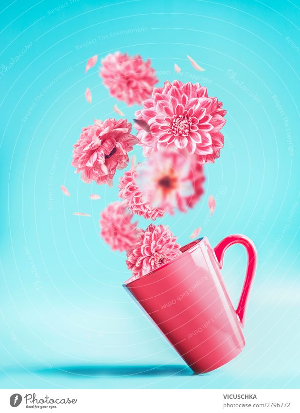 Rosa Tasse mit fliegenden Blumen Lifestyle Stil Design Sommer Dekoration & Verzierung Valentinstag Blumenstrauß rosa Hintergrundbild arrangiert abstrakt türkis