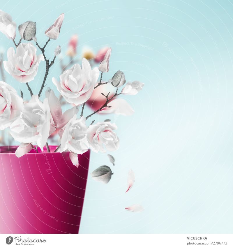 Vase mit Magnolie Zweige und Blüten Stil Design Dekoration & Verzierung Frühling Blatt Blumenstrauß Magnoliengewächse Blütenknospen Farbfoto Studioaufnahme