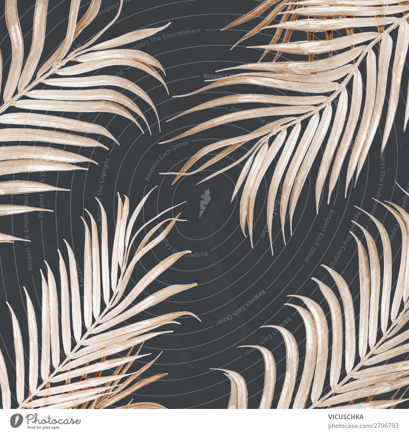 Hell goldenes gebogenes Palmblatt Muster Stil Design exotisch Ferien & Urlaub & Reisen Sommer Natur Blatt Mode Dekoration & Verzierung Ornament gelb