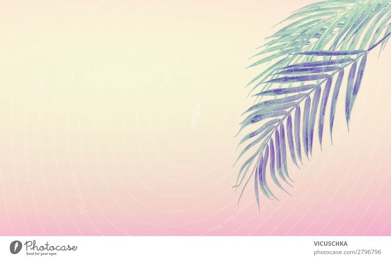 Sommer Hintergrund mit tropische Palmblätter Stil Design Ferien & Urlaub & Reisen Sommerurlaub Strand Natur Pflanze gelb rosa Hintergrundbild Sonnenuntergang