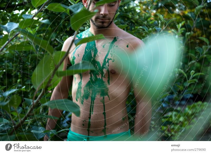 greenish maskulin Junger Mann Jugendliche 1 Mensch 18-30 Jahre Erwachsene Umwelt Natur Pflanze Baum Garten dünn muskulös natürlich grün Körpermalerei Ton-in-Ton