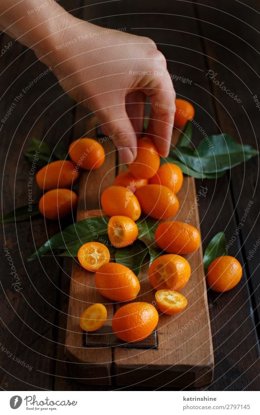Kumquat-Früchte auf dunklem Holzgrund Frucht Dessert Ernährung Vegetarische Ernährung Diät exotisch Hand Menschengruppe Blatt dunkel frisch natürlich saftig