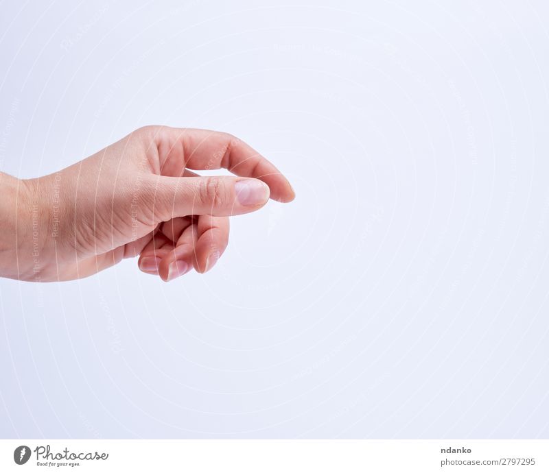 Hand zeigt Geste des Haltens eines Objekts Business Mensch Frau Erwachsene Arme Finger 18-30 Jahre Jugendliche festhalten weiß Idee Körperpflege Hintergrund