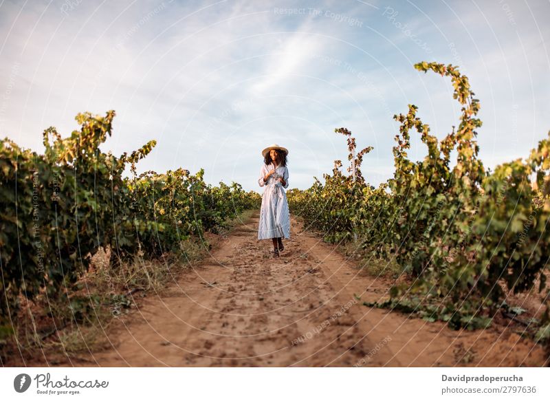Junge Frau, die auf einem Weg inmitten eines Weinbergs geht. Weingut Weintrauben laufen organisch Wege & Pfade Ernte Glück Landwirtschaft grün Anhäufung Lächeln