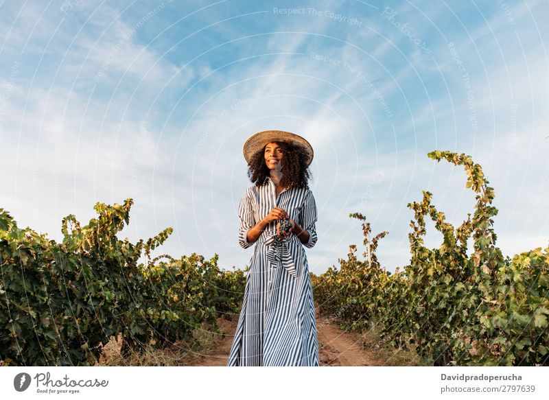 Junge Frau, die auf einem Weg inmitten eines Weinbergs geht. Weingut Weintrauben laufen organisch Ernte Glück Landwirtschaft grün Anhäufung Lächeln ländlich