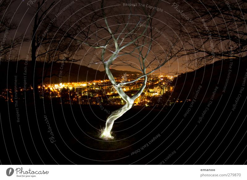 the magic tree at night Natur Landschaft Baum Hügel Berge u. Gebirge Stadt Stadtzentrum bevölkert leuchten außergewöhnlich dunkel Kitsch gelb schwarz ästhetisch