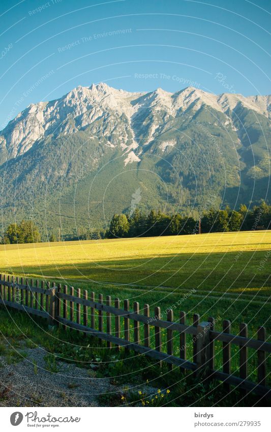 Tiroler Berge am Morgen Sommerurlaub Berge u. Gebirge Landschaft Wolkenloser Himmel Schönes Wetter Wiese Bundesland Tirol Gipfel leuchten authentisch natürlich