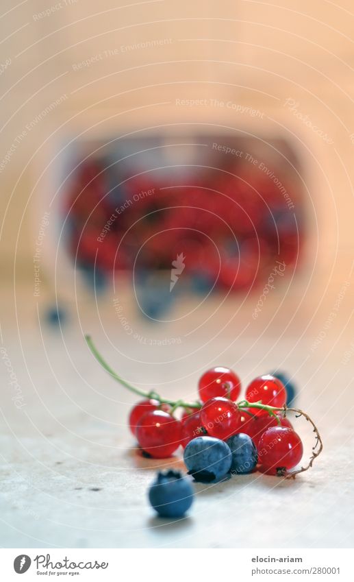 Beerenzeit Frucht Ernährung Gesundheit Vielfältig blau-rot Farbfoto Innenaufnahme Nahaufnahme Kunstlicht