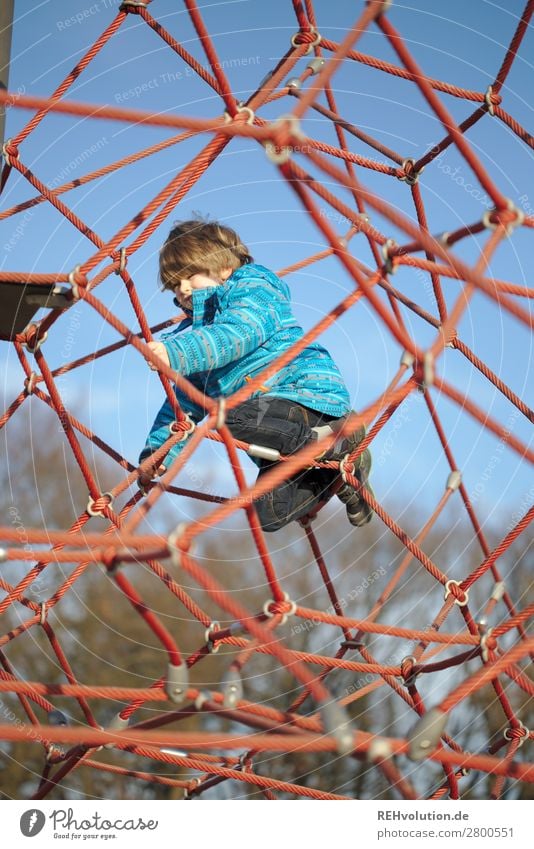 Kinder klettert auf dem Spielplatz nachdenken strategie Herausforderung Netz Seile Wolkenloser Himmel Mensch Junge Kindheit 3-8 Jahre Frühling Schönes Wetter