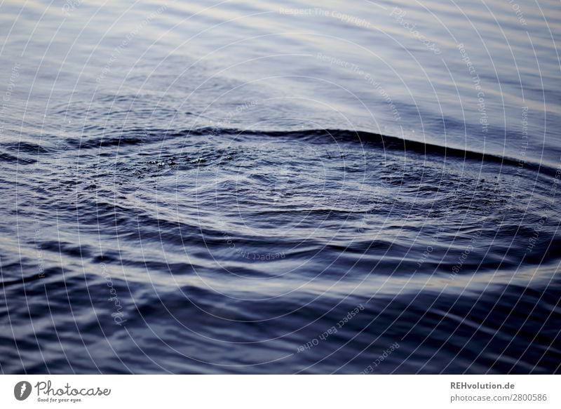 Wasser Wasseroberfläche Gewässer See Wellen Oberfläche Hintergrund Hintergrundbild nass frisch kalt tief blau Außenaufnahme Reflexion & Spiegelung Umwelt