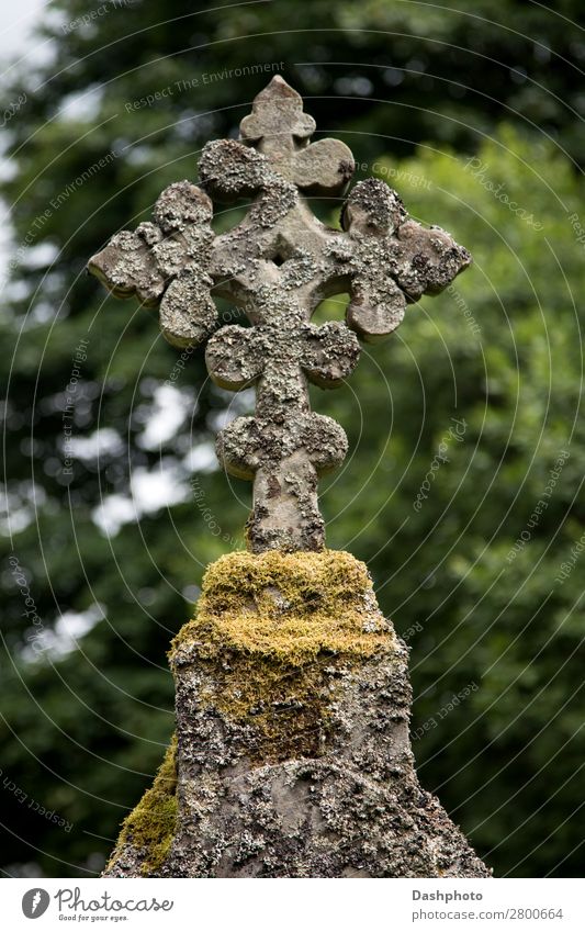 Altes keltisches Kreuz in einem schottischen Hochland-Kirchenhof Skulptur Baum Moos Denkmal Stein alt durchkreuzen Keltenkreuz Algen Kirchplatz Friedhof