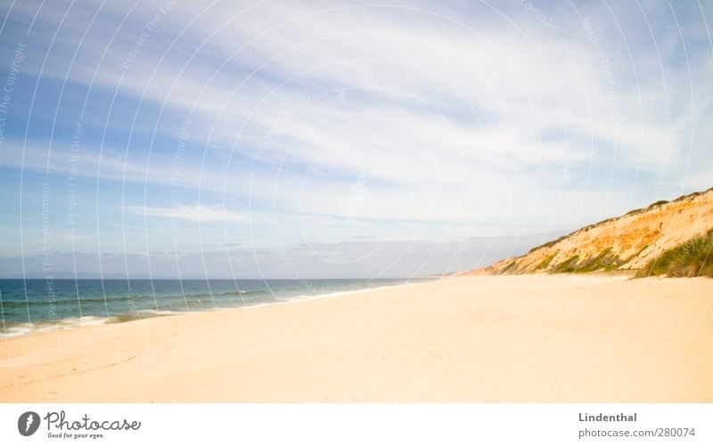 Strand in Portugal Ferien & Urlaub & Reisen Ferne Sonne Wellen Natur Sand Himmel Sommer Schönes Wetter Felsen Küste Glück Perspektive Atlantik Meer Farbfoto