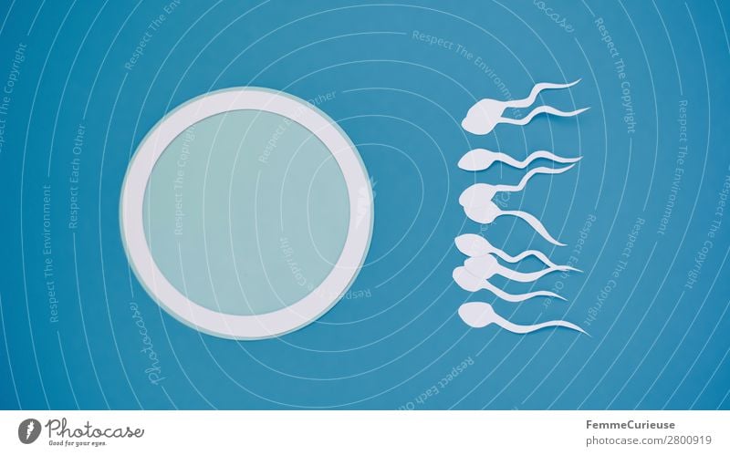 Reproduction - Sperm swimming to egg cell Zeichen Sex Sexualität Spermien Eizelle ausgeschnitten Papier weiß blau Symbole & Metaphern Fertilisation Kinderwunsch