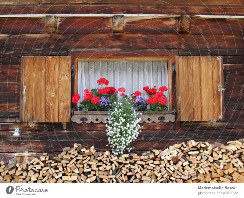 Fenster einer Holzhütte mit Blumenkasten Sommer Topfpflanze Alpen Hütte Blühend Originalität braun rot weiß Natur Ferien & Urlaub & Reisen Stil Tourismus