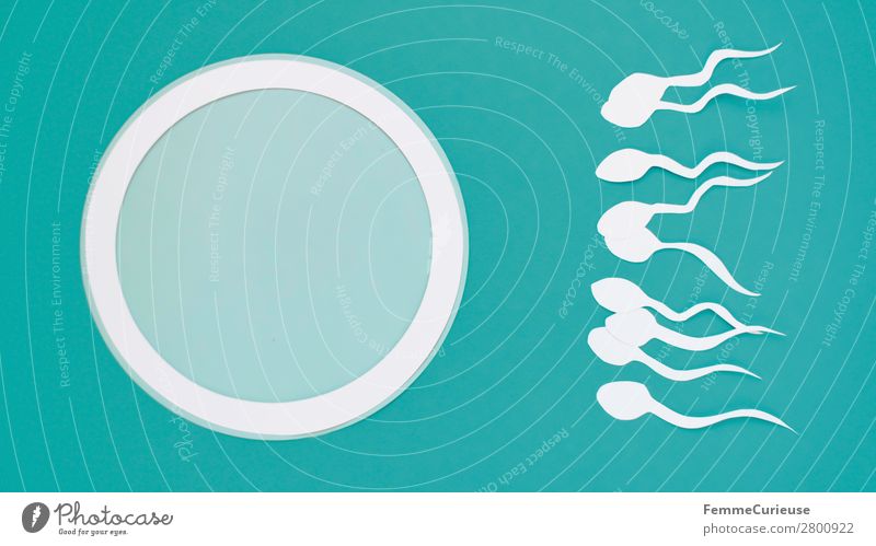 Reproduction - sperm swimming to egg cell Zeichen Sex Sexualität Familienplanung Kinderwunsch Spermien Eizelle türkis weiß Fortpflanzung Symbole & Metaphern