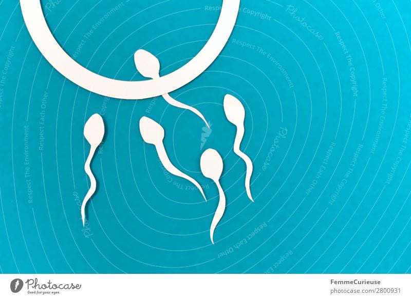 Reproduction - Sperm on their way to the egg cell Familie & Verwandtschaft Sex Sexualität Spermien Eizelle weiß türkis Fortpflanzung Symbole & Metaphern