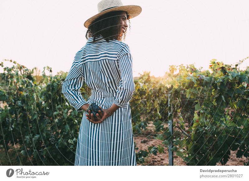 Frau, die auf einem Weg inmitten eines Weinbergs steht. Weingut Weintrauben stehen organisch Ernte Glück Landwirtschaft grün Anhäufung ländlich Verkostung