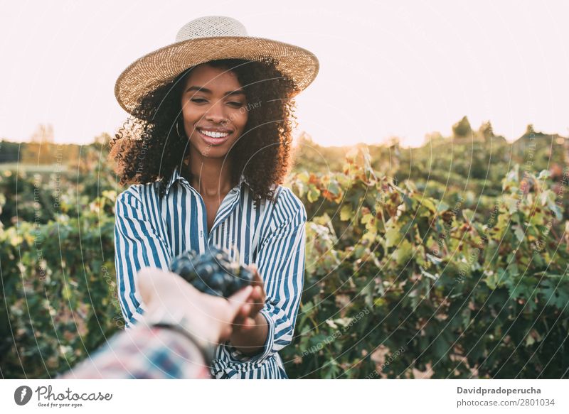 Frau teilt sich einen Haufen Weintrauben. Weingut Weinberg stehen organisch Mitbenutzung lachen Ernte Liebe Landwirtschaft grün Anhäufung ländlich Verkostung