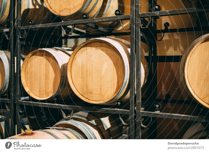 Holzweinfässer, die in einem Weingut während des Gärungsprozesses gelagert werden. Keller Fässer altehrwürdig Eiche Lager trinken Getränk Fass Geschmack